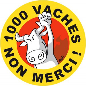 1000 vaches